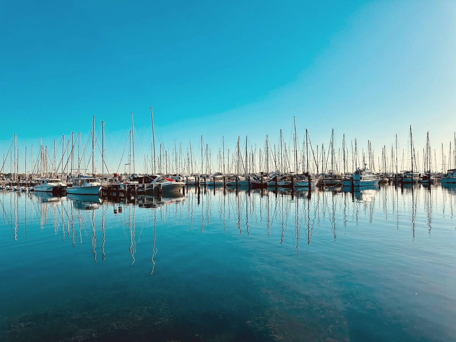 Yachts moored on calm water at a bayside marina
