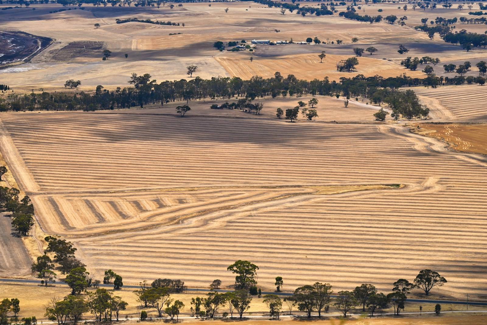 Aerial view of golden paddocks after harvest